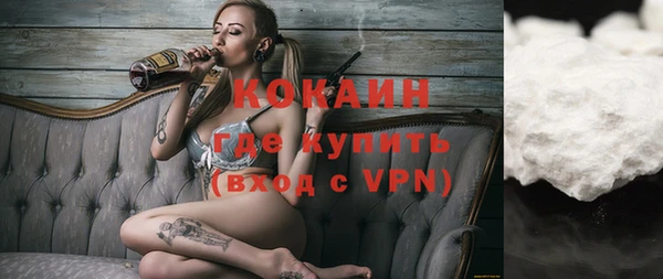индика Белокуриха
