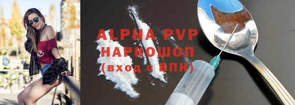 индика Белокуриха
