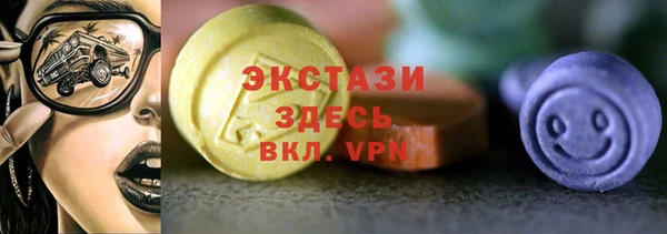 индика Белокуриха