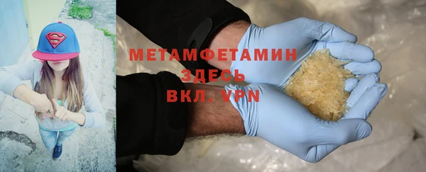 индика Белокуриха
