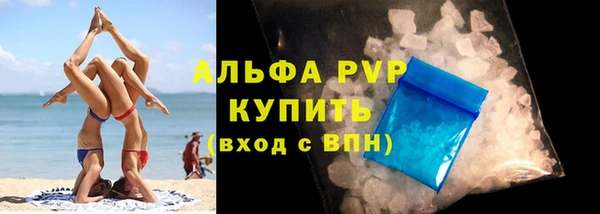 индика Белокуриха