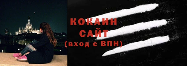 индика Белокуриха