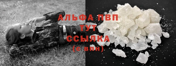 индика Белокуриха