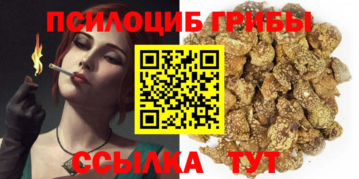 Малоярославец  Псилоцибиновые грибы GOLDEN TEACHER  Вход с VPN 